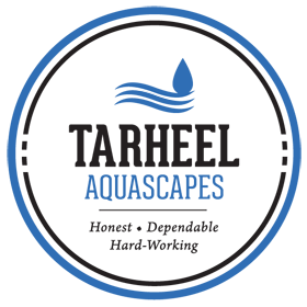 Aquascapes